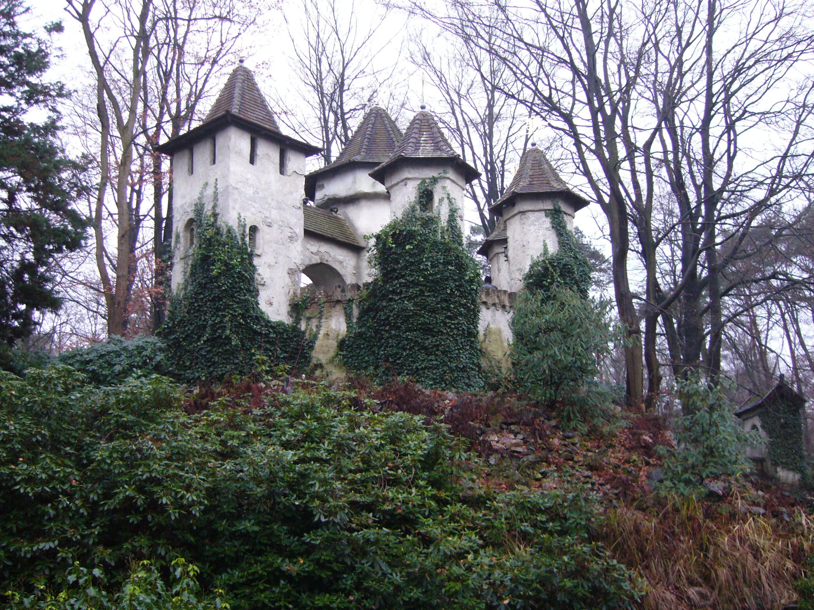 Kasteel doornroosje